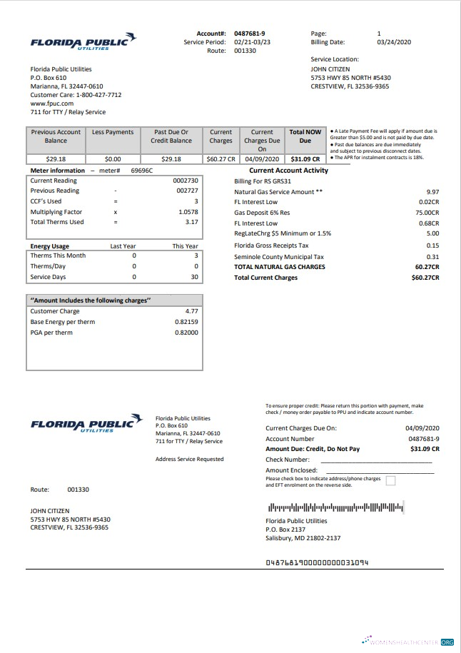download USA Florida Public Utilities utility bill template in Word and PDF format PDF template